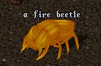 Fire_Beetle.jpg