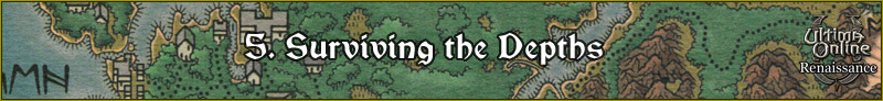 Section5_Banner.jpg