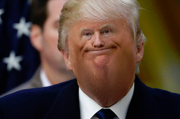 trump6.png