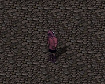 pape.jpg
