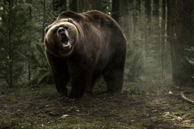endangered-2014-05.jpg