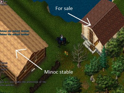 Minoc Stablehouse.jpg