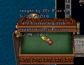 Fish4.png