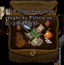 fish4.jpg