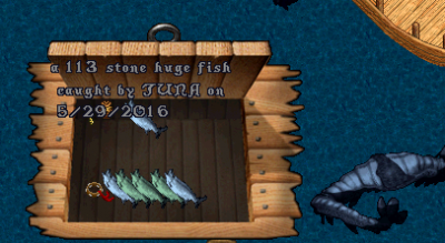 fish8.PNG