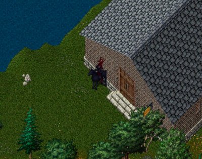 House.JPG