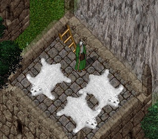 polar bear rugs.jpg