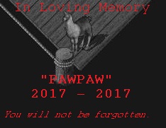 PAWPAW.jpg