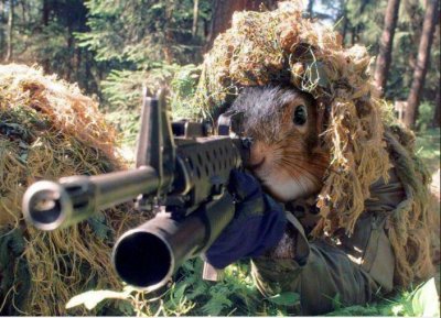 sniepersquirrel.JPG