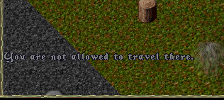 travel.PNG