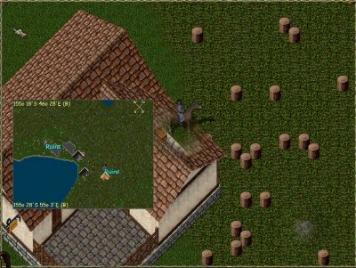 large w patio back.JPG