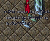 cookie 89.PNG