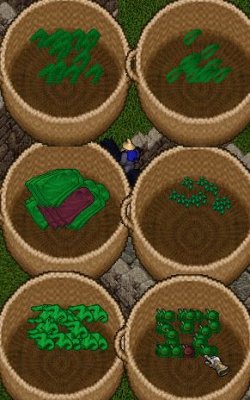 leprechaun.JPG