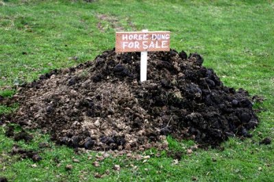 Manure.jpg