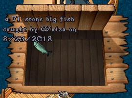 fish 1.jpg