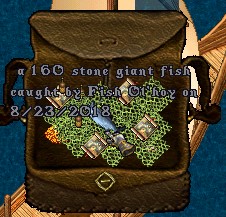 FISH.jpg