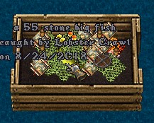 FISH.jpg