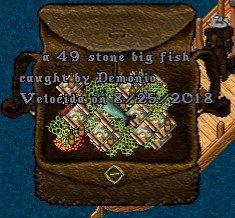 FISH.jpg