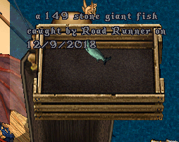 fish.png