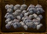 Rocks24.JPG