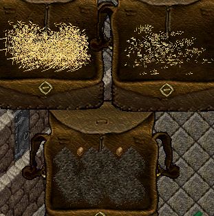 Stable.JPG
