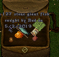 Fish 2.png