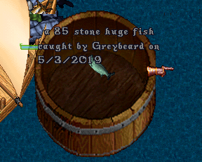 6 anni fish 6.png