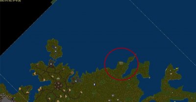 yew spots.jpg