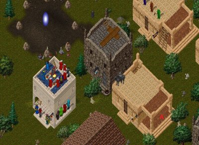 Yew SSP.JPG