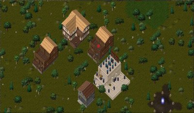 YEW LC.JPG