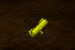 qw.png