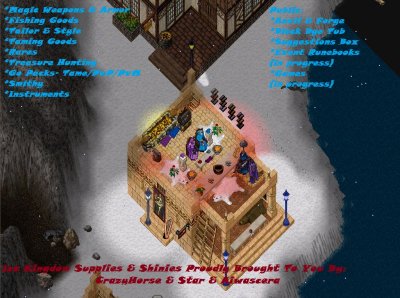 Ice Kingdom Supplies & Shinies 2.jpg
