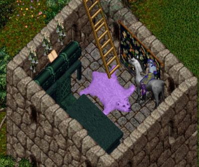 purplebearrug.png