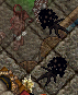 unknown.png