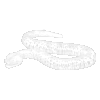 SnakeSpirit_100.png
