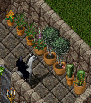 potted.png