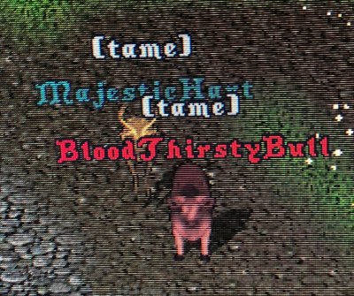 Bull, Hart.JPG