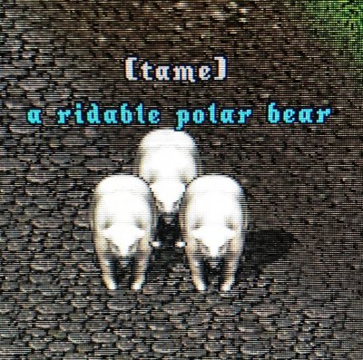 POLAR BEARS.jpg