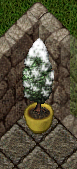upload_2020-1-16_7-38-13.png