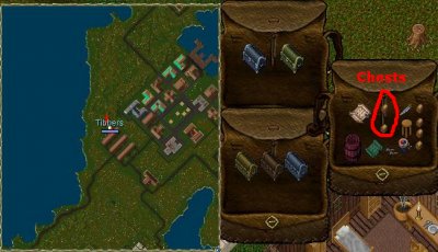 Tibbers_3-18_20.59.jpg