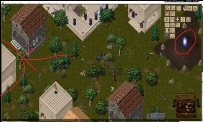 lawn elder_4-7_21.40.jpg