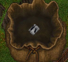 111.JPG