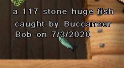 117 stone tourney fish.jpg