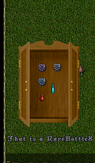 Bottle 8 real.png