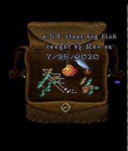 Fish1.jpg