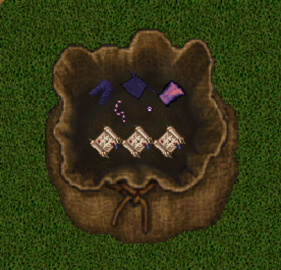 purpbag.png