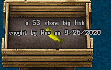 BigFish4.png