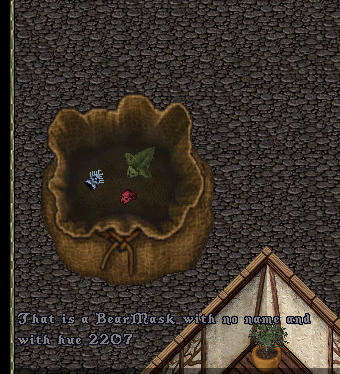 Bear Mask.png