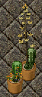 2 Plants.png