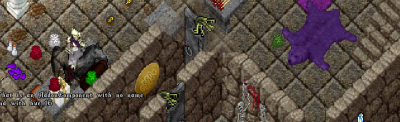 bear 3.PNG